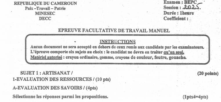 BEPC Travail Manuel - 2024/2025