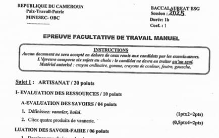 BACCALAUREAT Series D Travail Manuel - 2024/2025