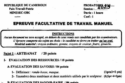 PROBATOIRE Series ABI Travail Manuel - 2024/2025