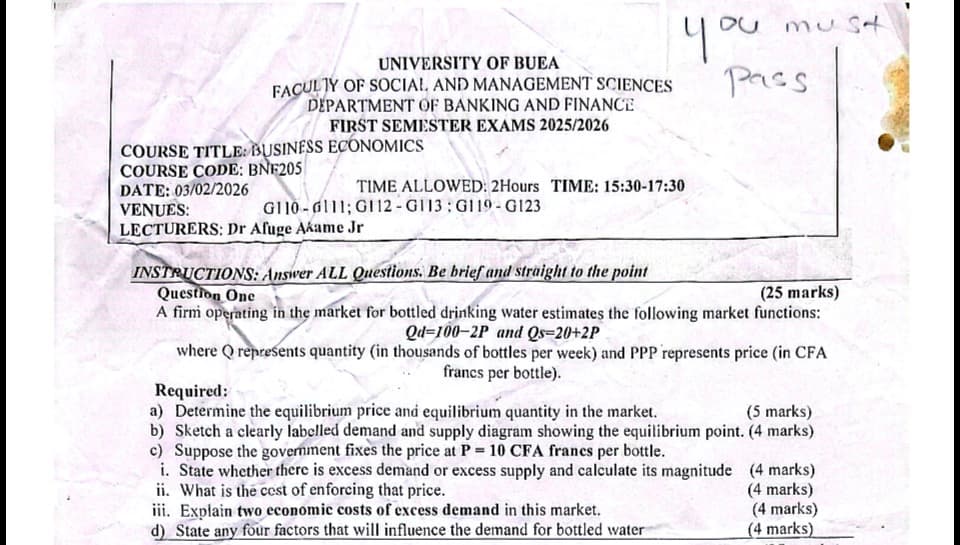 BNF205: Business economics