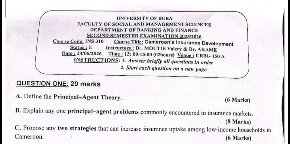 INS310: Cameroon insurance development